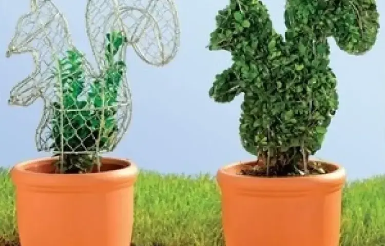 Rzeźby z roślin: jak stworzyć piękne topiary w swoim ogrodzie